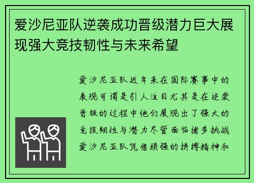 爱沙尼亚队逆袭成功晋级潜力巨大展现强大竞技韧性与未来希望